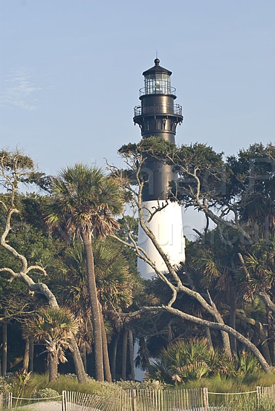 Scapes lighthouse, island, coastal, shorline, beach, ocean, sea, sand palm trees