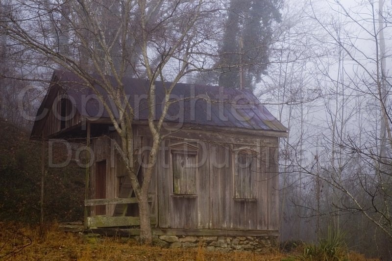 Scapes fog, mist, morning, shack, cottage, old, antique, tin roof, woods, farm, rural