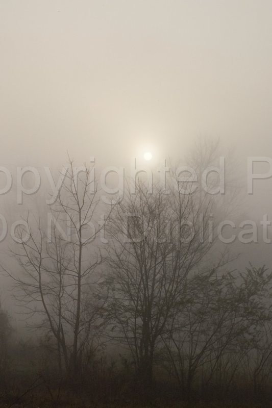 Scapes mist, fog, landscape, outdoors